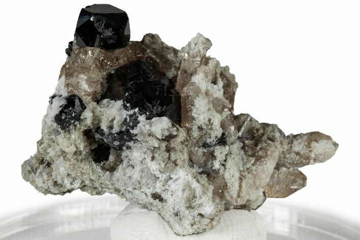 Lustrous Bixbyite Crystals on Champagne Topaz - Utah #309319